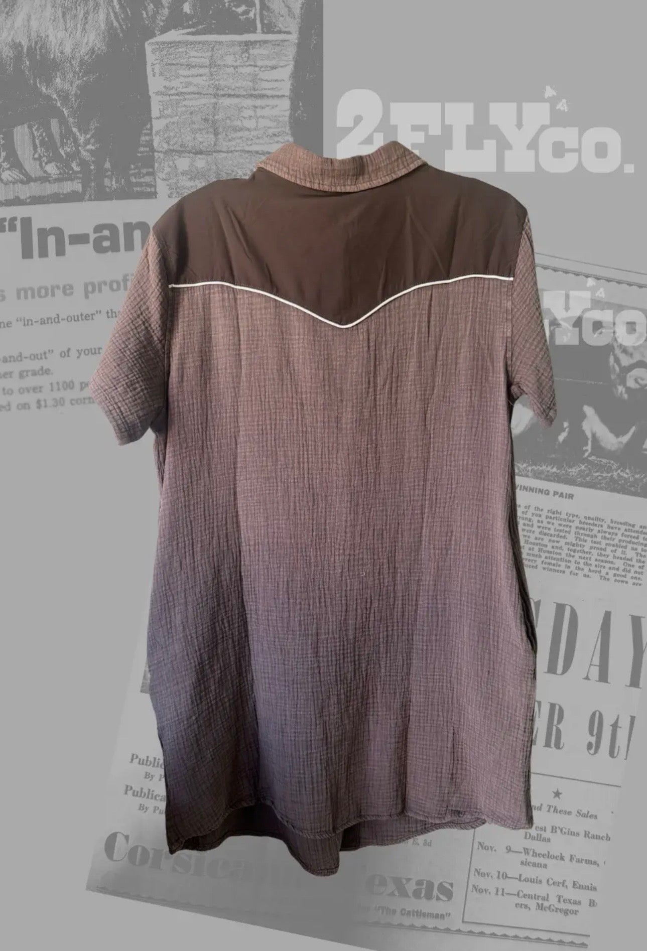 Rank Retro Dress Mocha
