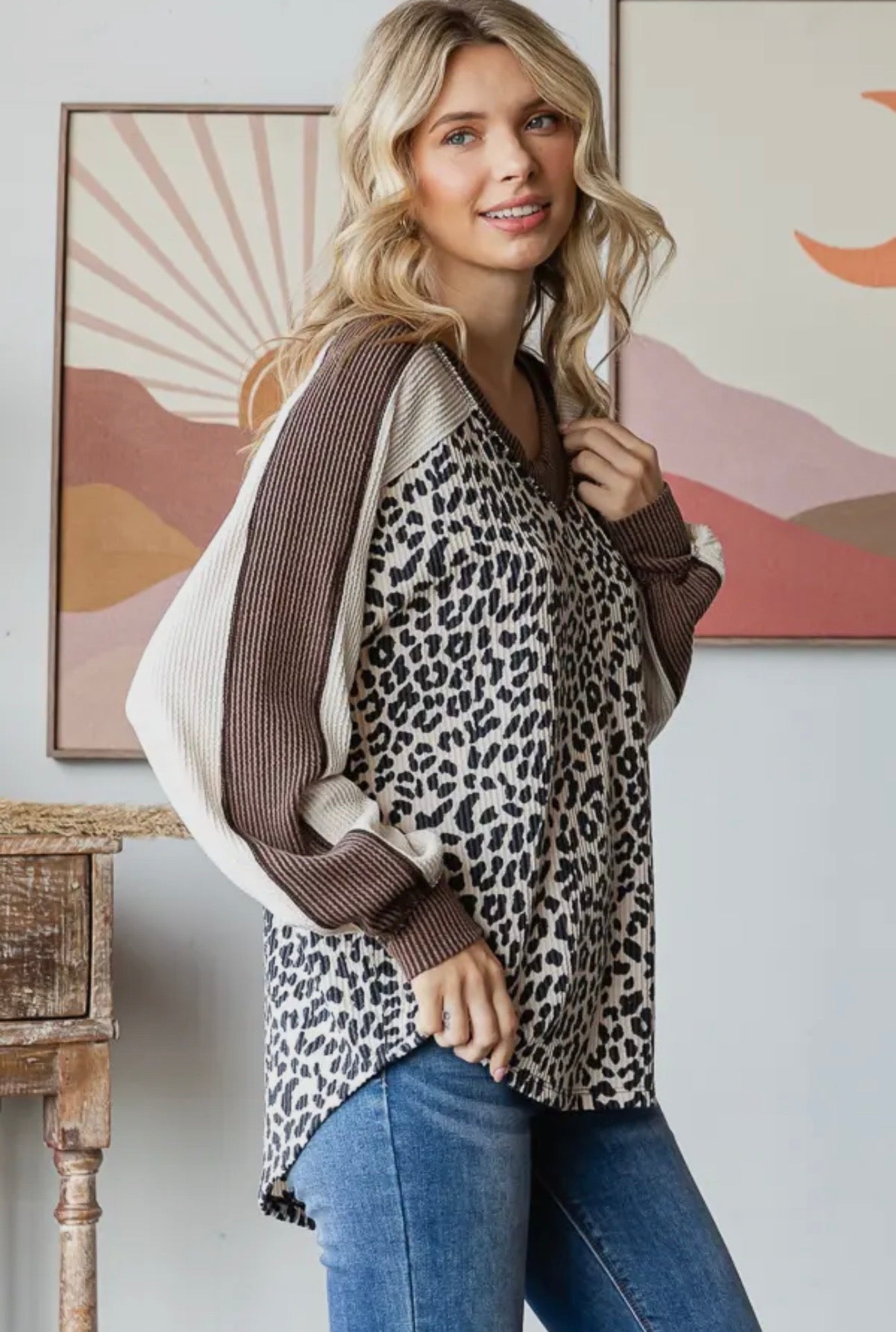 Animal Color Block V Neck Lonh Sleeve Pullover Top