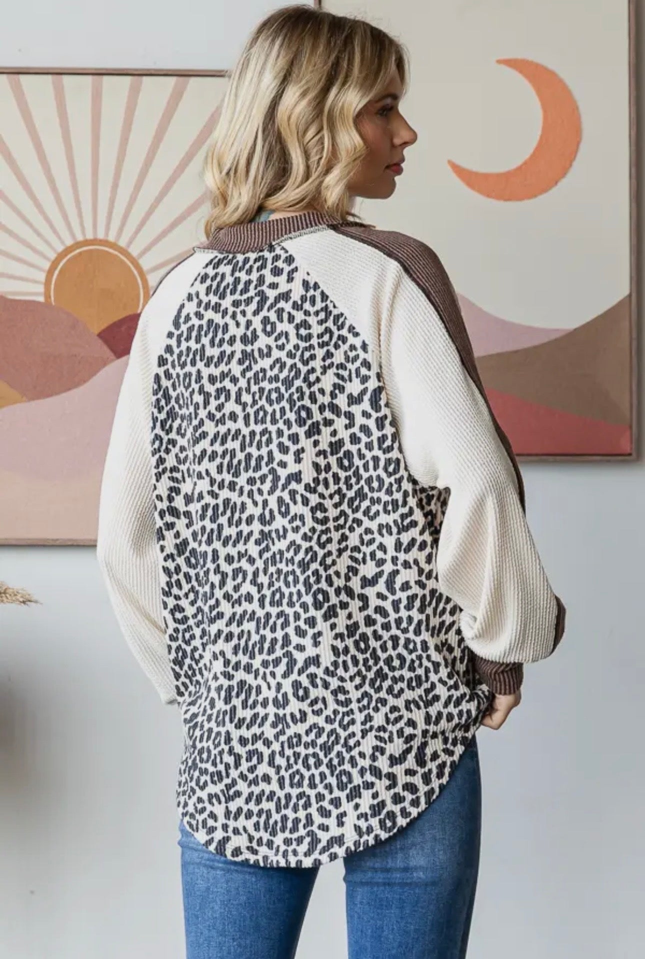 Animal Color Block V Neck Lonh Sleeve Pullover Top